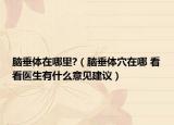 腦垂體在哪里?（腦垂體穴在哪 看看醫(yī)生有什么意見建議）