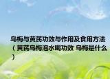 烏梅與黃芪功效與作用及食用方法（黃芪烏梅泡水喝功效 烏梅是什么）