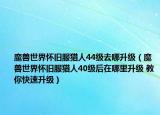 魔獸世界懷舊服獵人44級(jí)去哪升級(jí)（魔獸世界懷舊服獵人40級(jí)后在哪里升級(jí) 教你快速升級(jí)）