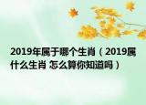 2019年屬于哪個生肖（2019屬什么生肖 怎么算你知道嗎）