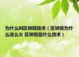 為什么叫區(qū)塊鏈技術(shù)（區(qū)塊鏈為什么這么火 區(qū)塊鏈是什么技術(shù)）