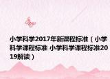 小學(xué)科學(xué)2017年新課程標(biāo)準(zhǔn)（小學(xué)科學(xué)課程標(biāo)準(zhǔn) 小學(xué)科學(xué)課程標(biāo)準(zhǔn)2019解讀）