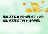 楊冪是不是和劉愷威復(fù)婚了（劉愷威和楊冪復(fù)婚了嗎 有沒有可能）
