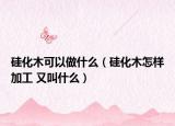 硅化木可以做什么（硅化木怎樣加工 又叫什么）