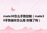 mate30怎么手勢控制（mate30手勢操作怎么用 你懂了嗎）