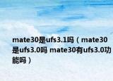 mate30是ufs3.1嗎（mate30是ufs3.0嗎 mate30有ufs3.0功能嗎）