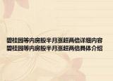 碧桂園等內房股半月漲超兩倍詳細內容 碧桂園等內房股半月漲超兩倍具體介紹