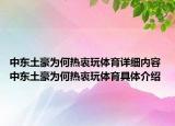 中東土豪為何熱衷玩體育詳細內容 中東土豪為何熱衷玩體育具體介紹