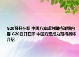 G20召開(kāi)在即 中國(guó)方案成為期待詳細(xì)內(nèi)容 G20召開(kāi)在即 中國(guó)方案成為期待具體介紹