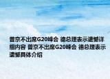 普京不出席G20峰會 德總理表示遺憾詳細內(nèi)容 普京不出席G20峰會 德總理表示遺憾具體介紹