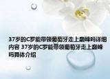 37歲的C羅能帶領(lǐng)葡萄牙走上巔峰嗎詳細(xì)內(nèi)容 37歲的C羅能帶領(lǐng)葡萄牙走上巔峰嗎具體介紹