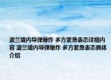 波蘭境內(nèi)導(dǎo)彈爆炸 多方緊急表態(tài)詳細內(nèi)容 波蘭境內(nèi)導(dǎo)彈爆炸 多方緊急表態(tài)具體介紹