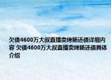 欠債4600萬大叔直播賣烤腸還債詳細(xì)內(nèi)容 欠債4600萬大叔直播賣烤腸還債具體介紹