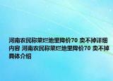 河南農(nóng)民稱菜爛地里降價70 賣不掉詳細(xì)內(nèi)容 河南農(nóng)民稱菜爛地里降價70 賣不掉具體介紹
