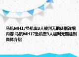 馬航MH17墜機案3人被判無期徒刑詳細內(nèi)容 馬航MH17墜機案3人被判無期徒刑具體介紹