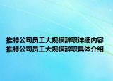 推特公司員工大規(guī)模辭職詳細內容 推特公司員工大規(guī)模辭職具體介紹
