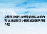 文旅部提倡小規(guī)模旅游團(tuán)隊詳細(xì)內(nèi)容 文旅部提倡小規(guī)模旅游團(tuán)隊具體介紹