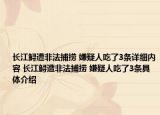 長江鱘遭非法捕撈 嫌疑人吃了3條詳細內容 長江鱘遭非法捕撈 嫌疑人吃了3條具體介紹