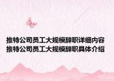 推特公司員工大規(guī)模辭職詳細內容 推特公司員工大規(guī)模辭職具體介紹