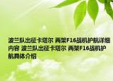 波蘭隊出征卡塔爾 兩架F16戰(zhàn)機(jī)護(hù)航詳細(xì)內(nèi)容 波蘭隊出征卡塔爾 兩架F16戰(zhàn)機(jī)護(hù)航具體介紹