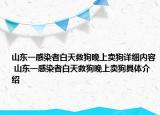 山東一感染者白天救狗晚上賣狗詳細內(nèi)容 山東一感染者白天救狗晚上賣狗具體介紹