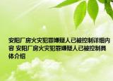 安陽廠房火災(zāi)犯罪嫌疑人已被控制詳細內(nèi)容 安陽廠房火災(zāi)犯罪嫌疑人已被控制具體介紹
