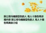 踩公用馬桶圈受傷的人 有人十級(jí)傷殘?jiān)敿?xì)內(nèi)容 踩公用馬桶圈受傷的人 有人十級(jí)傷殘具體介紹