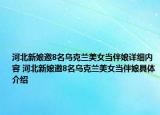 河北新娘邀8名烏克蘭美女當(dāng)伴娘詳細(xì)內(nèi)容 河北新娘邀8名烏克蘭美女當(dāng)伴娘具體介紹