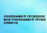 沙特有意招募梅西C羅 C羅已收到合同詳細(xì)內(nèi)容 沙特有意招募梅西C羅 C羅已收到合同具體介紹