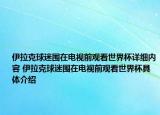 伊拉克球迷圍在電視前觀看世界杯詳細內容 伊拉克球迷圍在電視前觀看世界杯具體介紹