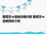 葡萄牙vs加納詳細(xì)內(nèi)容 葡萄牙vs加納具體介紹