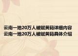 云南一地20萬人被賦黃碼詳細(xì)內(nèi)容 云南一地20萬人被賦黃碼具體介紹