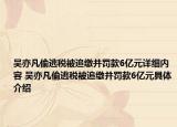 吳亦凡偷逃稅被追繳并罰款6億元詳細內(nèi)容 吳亦凡偷逃稅被追繳并罰款6億元具體介紹