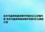 吳亦凡偷逃稅被追繳并罰款6億元詳細內(nèi)容 吳亦凡偷逃稅被追繳并罰款6億元具體介紹