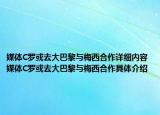 媒體C羅或去大巴黎與梅西合作詳細(xì)內(nèi)容 媒體C羅或去大巴黎與梅西合作具體介紹