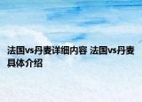 法國vs丹麥詳細內容 法國vs丹麥具體介紹
