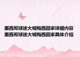 墨西哥球迷大喊梅西回家詳細內容 墨西哥球迷大喊梅西回家具體介紹
