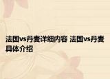 法國vs丹麥詳細內容 法國vs丹麥具體介紹