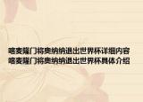 喀麥隆門將奧納納退出世界杯詳細(xì)內(nèi)容 喀麥隆門將奧納納退出世界杯具體介紹