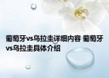 葡萄牙vs烏拉圭詳細(xì)內(nèi)容 葡萄牙vs烏拉圭具體介紹