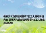 極寒天氣致新疆阿勒泰7名工人遇難詳細(xì)內(nèi)容 極寒天氣致新疆阿勒泰7名工人遇難具體介紹