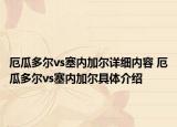 厄瓜多爾vs塞內(nèi)加爾詳細(xì)內(nèi)容 厄瓜多爾vs塞內(nèi)加爾具體介紹