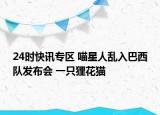 24時快訊專區(qū) 喵星人亂入巴西隊發(fā)布會 一只貍花貓