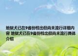 地獄犬已在9省份檢出但尚未流行詳細(xì)內(nèi)容 地獄犬已在9省份檢出但尚未流行具體介紹