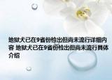 地獄犬已在9省份檢出但尚未流行詳細(xì)內(nèi)容 地獄犬已在9省份檢出但尚未流行具體介紹