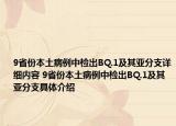 9省份本土病例中檢出BQ.1及其亞分支詳細(xì)內(nèi)容 9省份本土病例中檢出BQ.1及其亞分支具體介紹