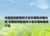 中疾控詳解地獄犬變異毒株詳細內(nèi)容 中疾控詳解地獄犬變異毒株具體介紹