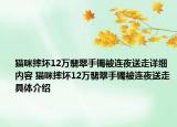 貓咪摔壞12萬翡翠手鐲被連夜送走詳細(xì)內(nèi)容 貓咪摔壞12萬翡翠手鐲被連夜送走具體介紹