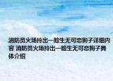 消防員火場拎出一臉生無可戀狗子詳細(xì)內(nèi)容 消防員火場拎出一臉生無可戀狗子具體介紹