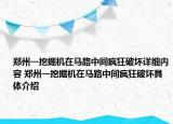 鄭州一挖掘機在馬路中間瘋狂破壞詳細內(nèi)容 鄭州一挖掘機在馬路中間瘋狂破壞具體介紹